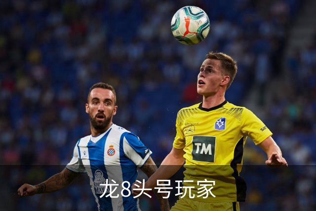 龙8头号玩家公司简介
